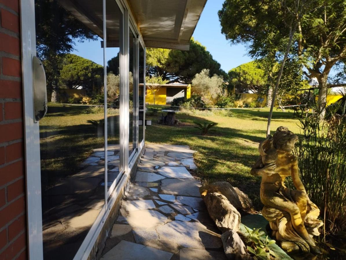 Jacaranda Apartment Cadiz Bagian luar foto